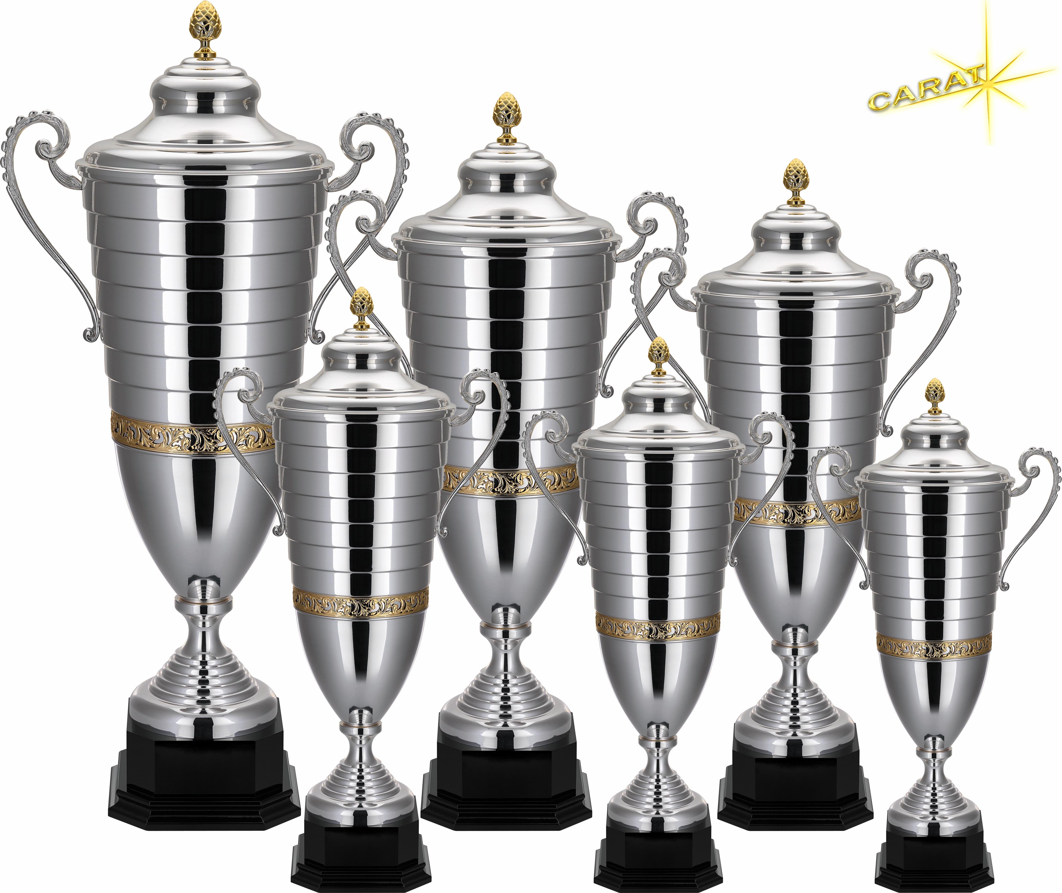 Carat Pokal Ara