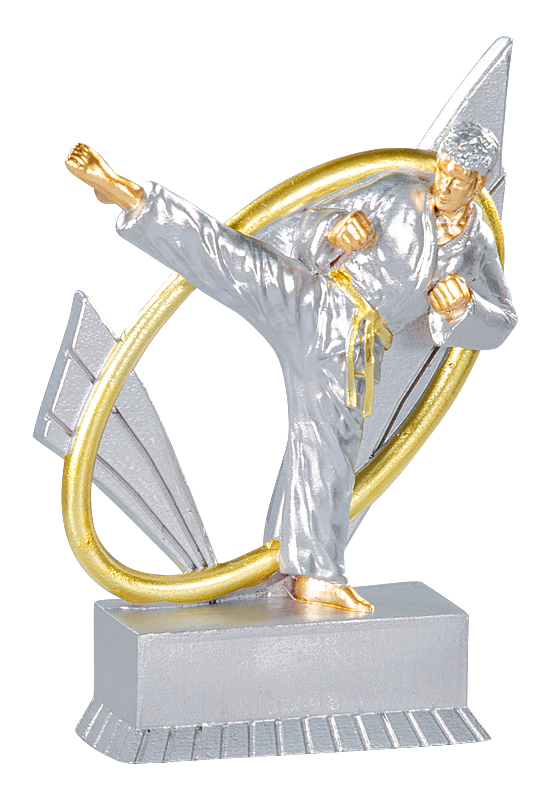 Karate Trophäe